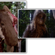 Image for article titled Let's Take A Deep Dive Into The First Toilets Seen In The Star Wars Universe